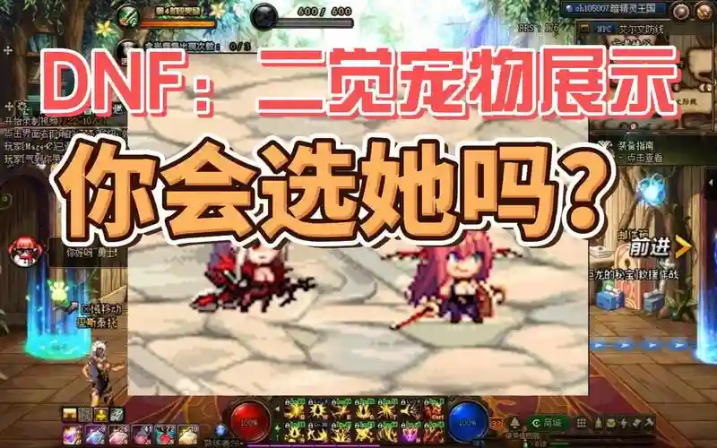 dnf2觉宠物技能怎么得，二觉宠物插图1