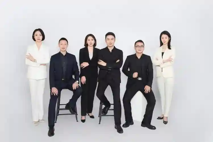 有限公司最强阵容搭配，有限 公司