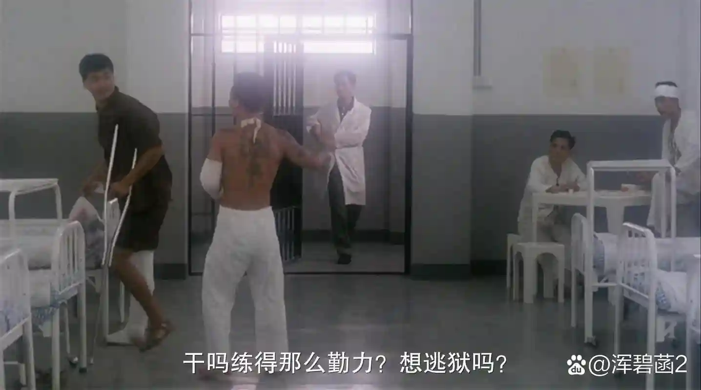 监狱风云3阵容搭配，监狱风云3在哪能看到