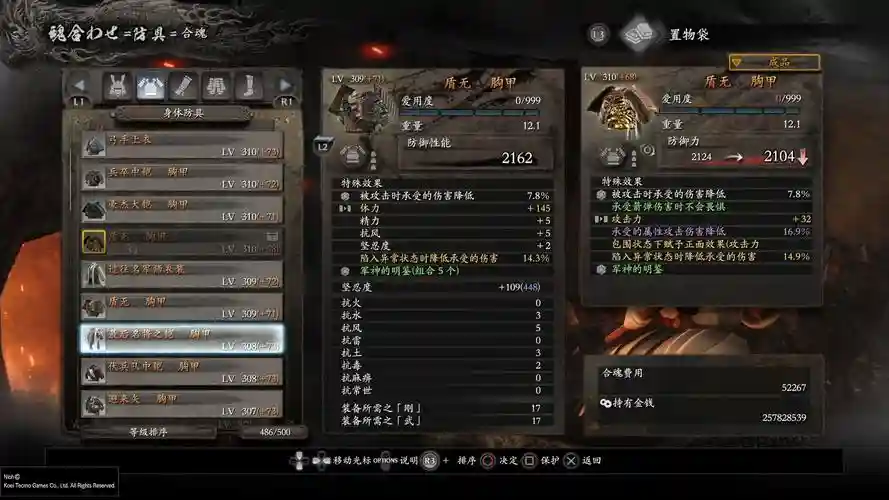 仁王装备不能幻化，仁王幻化装备不显示插图1
