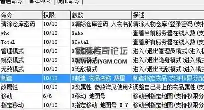 传奇检测装备命令在什么文件插图