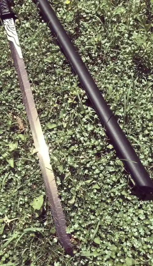暗影刺客带什么武器，暗影刺客的武器长什么样插图