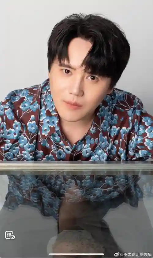 金弦4攻略，金弦毕业于哪里