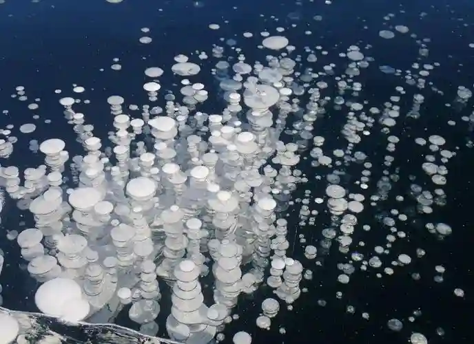 icelake新手攻略，icelakesp插图1