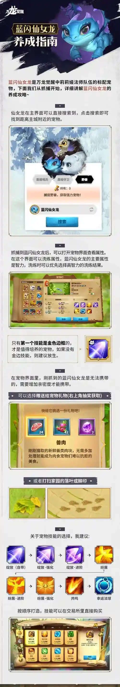 仙女龙搭配阵容,仙女龙大招插图 仙女龙搭配阵容,仙女龙大招插图