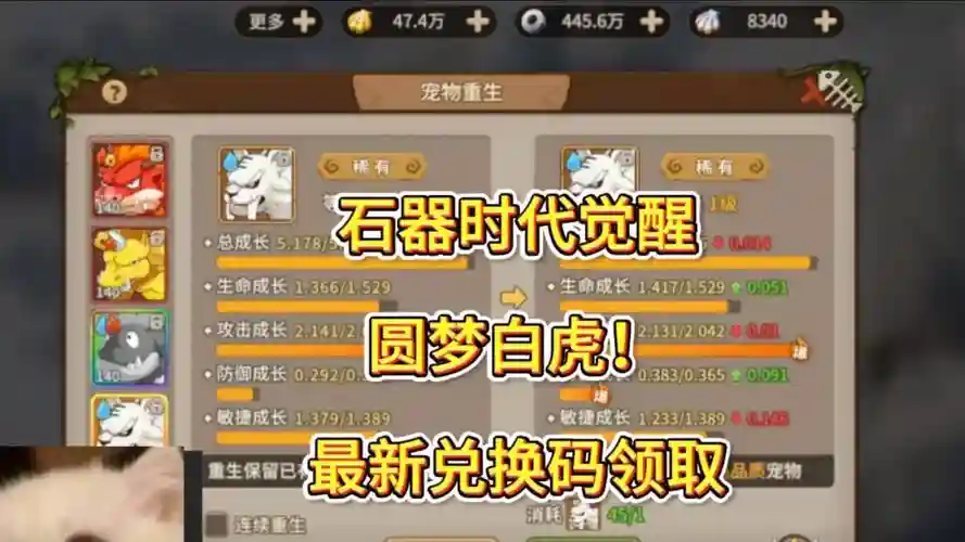 梦幻西游白虎石哪弄，梦幻西游白虎石怎么获得插图1