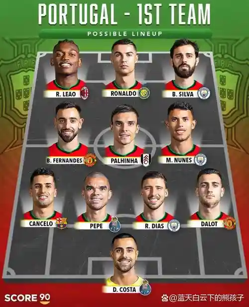 葡萄牙欧锦赛阵容搭配中锋,葡萄牙队欧洲杯预选赛成绩插图 葡萄牙欧锦赛阵容搭配中锋,葡萄牙队欧洲杯预选赛成绩插图