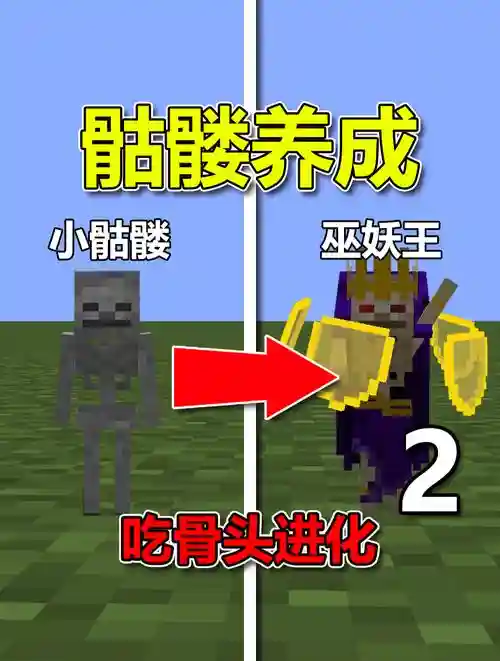 打造世界骷髅装备，打造世界骷髅王插图1