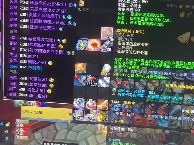 魔兽7.25奶骑所有技能，tbc奶骑专业技能推荐插图