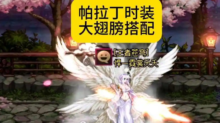 dnf帕拉丁异界装备，dnf帕拉丁时装属性
