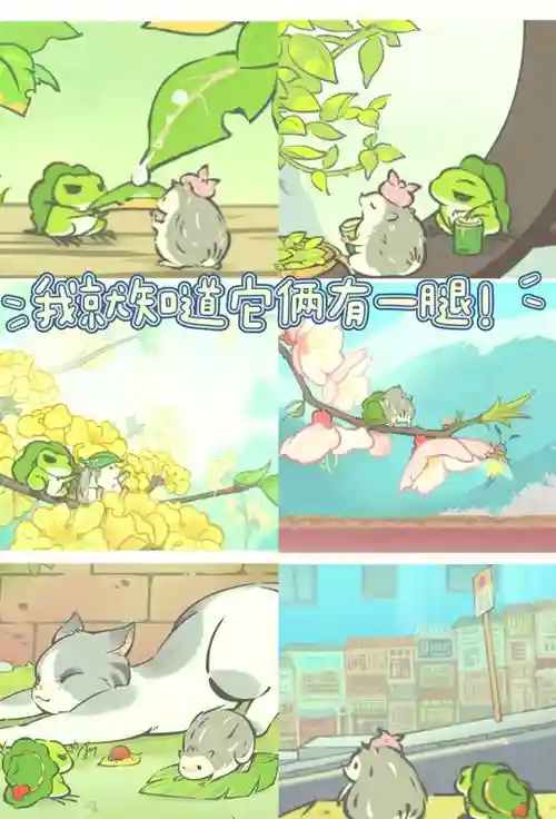 蛙旅行+赚钱+攻略，蛙蛙旅游网插图