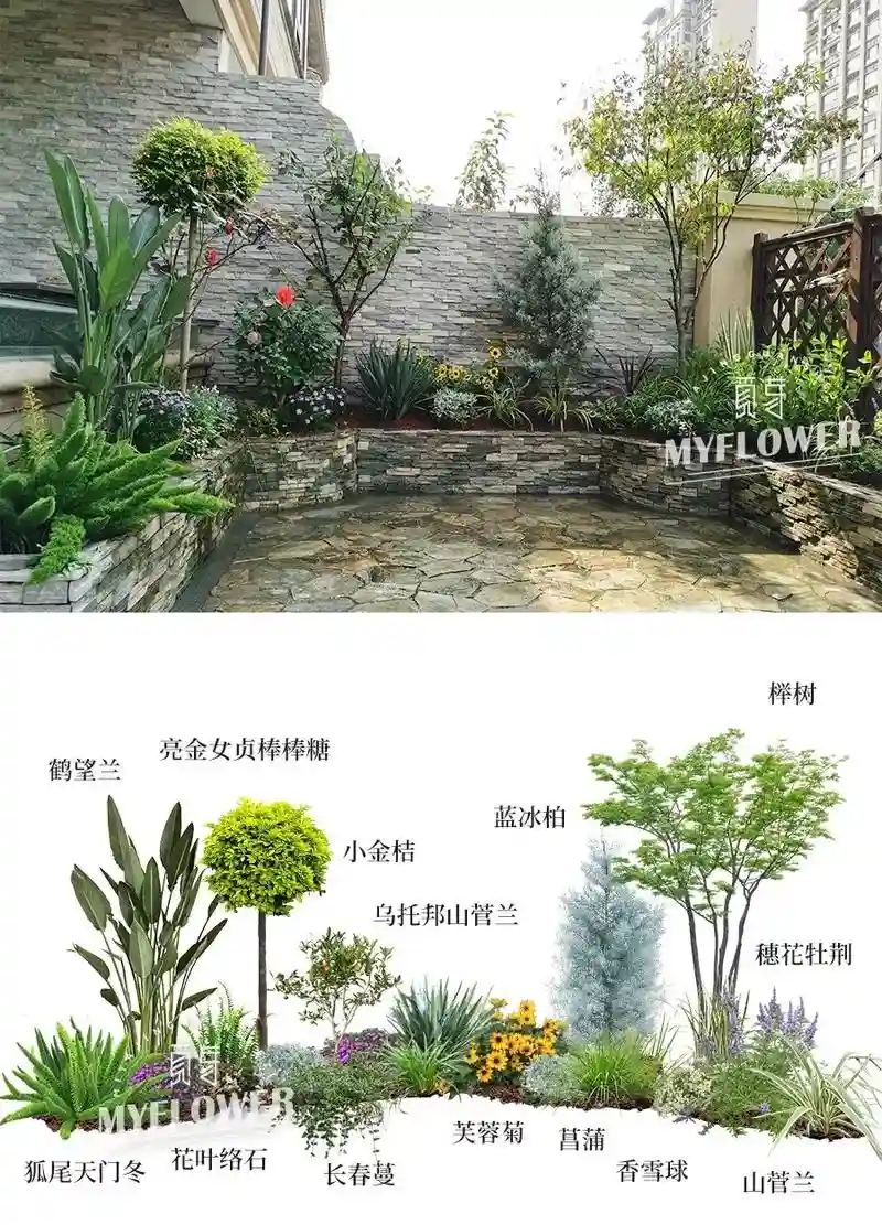 创意庭院超强植物阵容搭配，优美庭院创意插图1