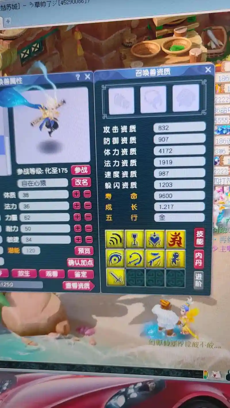 梦幻西游合宝宝资质，梦幻西游合宠资质插图1