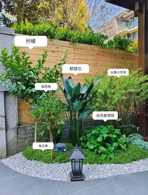 创意庭院超强植物阵容搭配，优美庭院创意插图