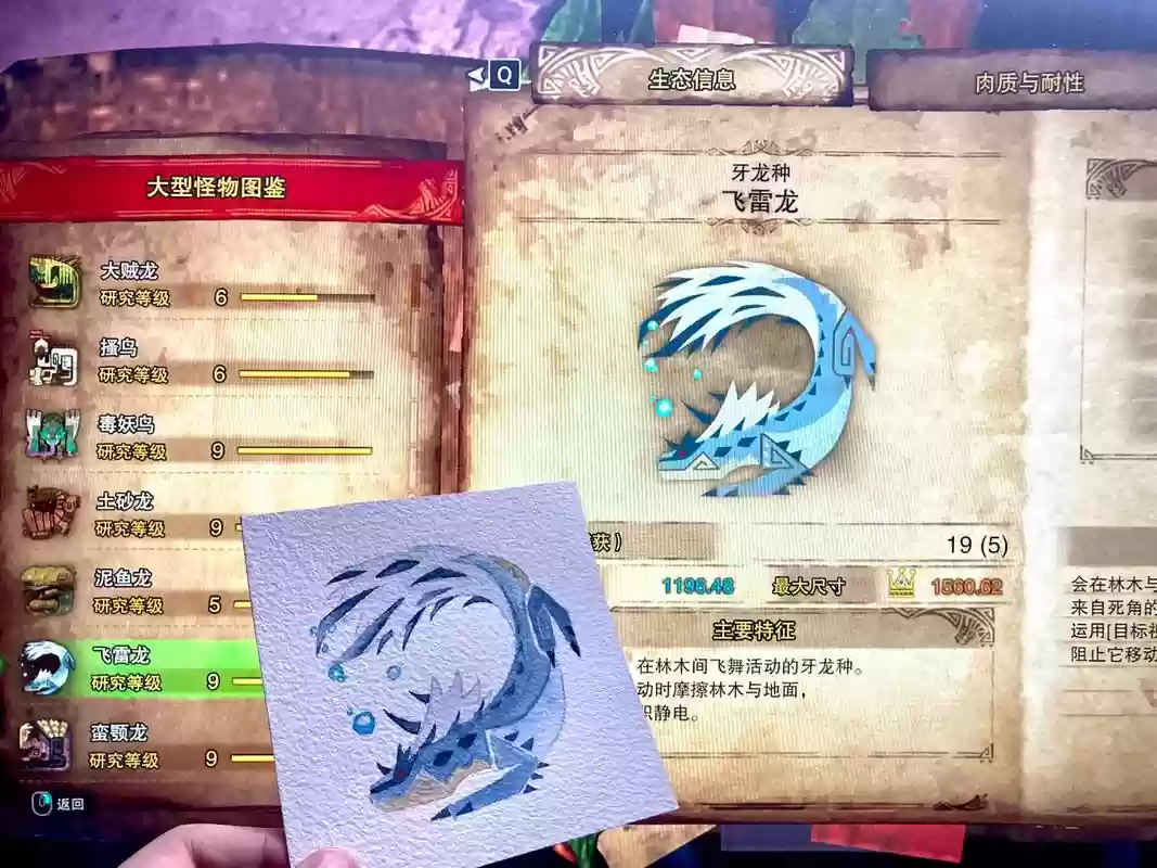 飞雷龙什么武器，飞雷龙派生武器路线