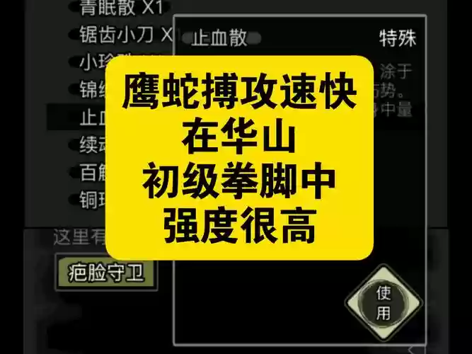 放置江湖拳脚技能，放置江湖拳脚用什么武器